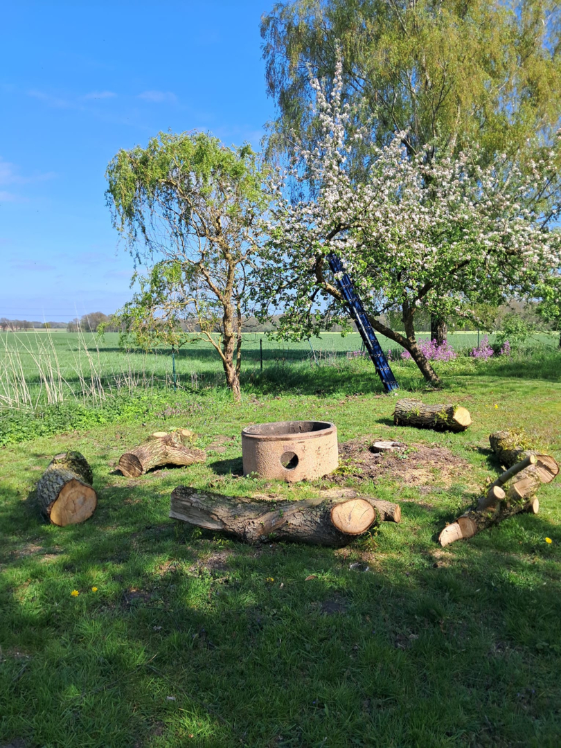 Feuerstelle im Garten