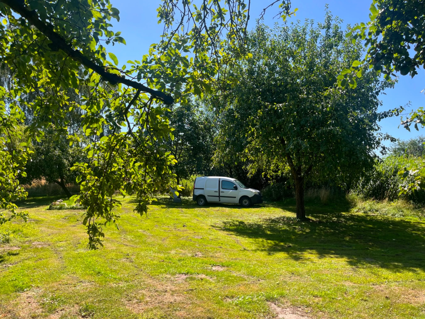 Stellplatz im Sommer unter Obstbäumen