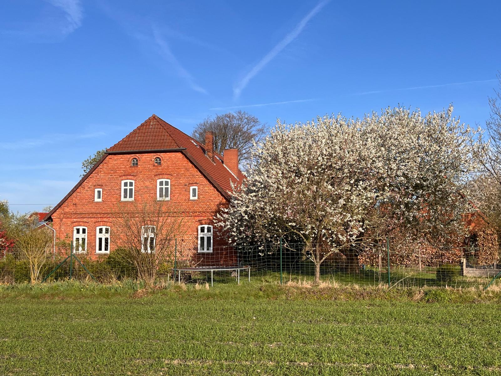 Bauernhaus im Frühling mit blühendem Baum