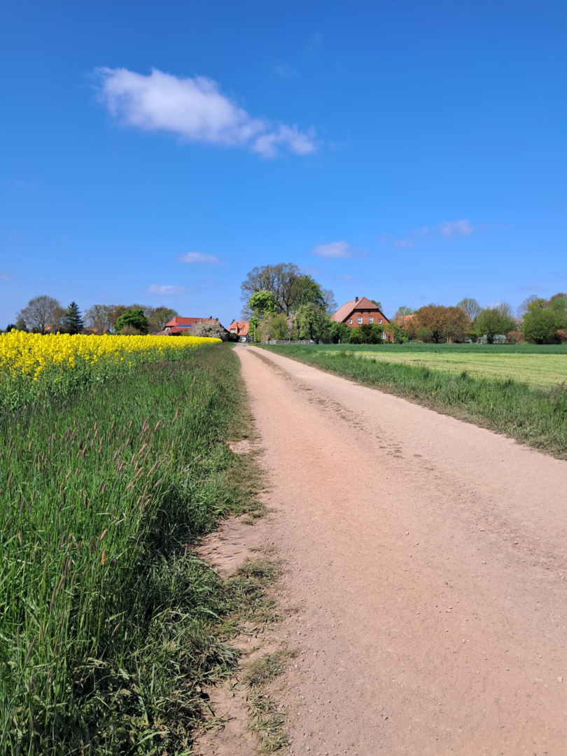 Feldweg zum Hof im Frühling