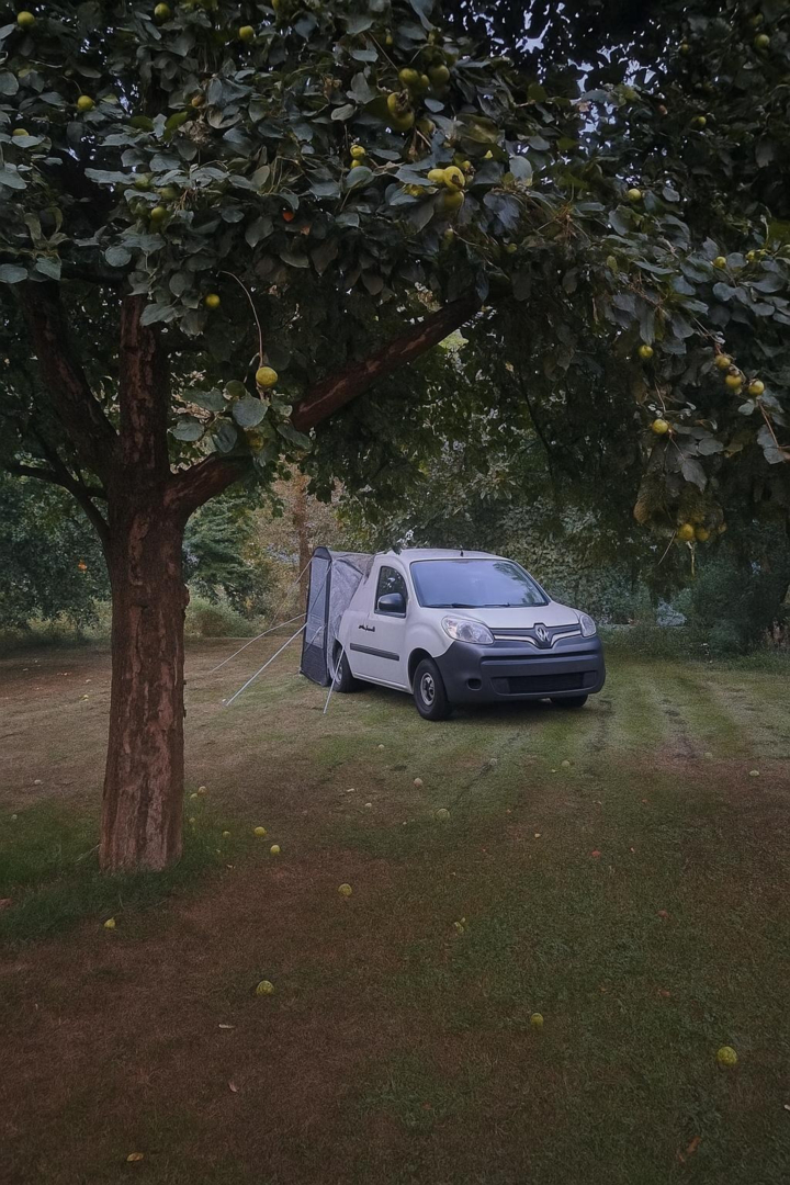Camper unter Apfelbaum