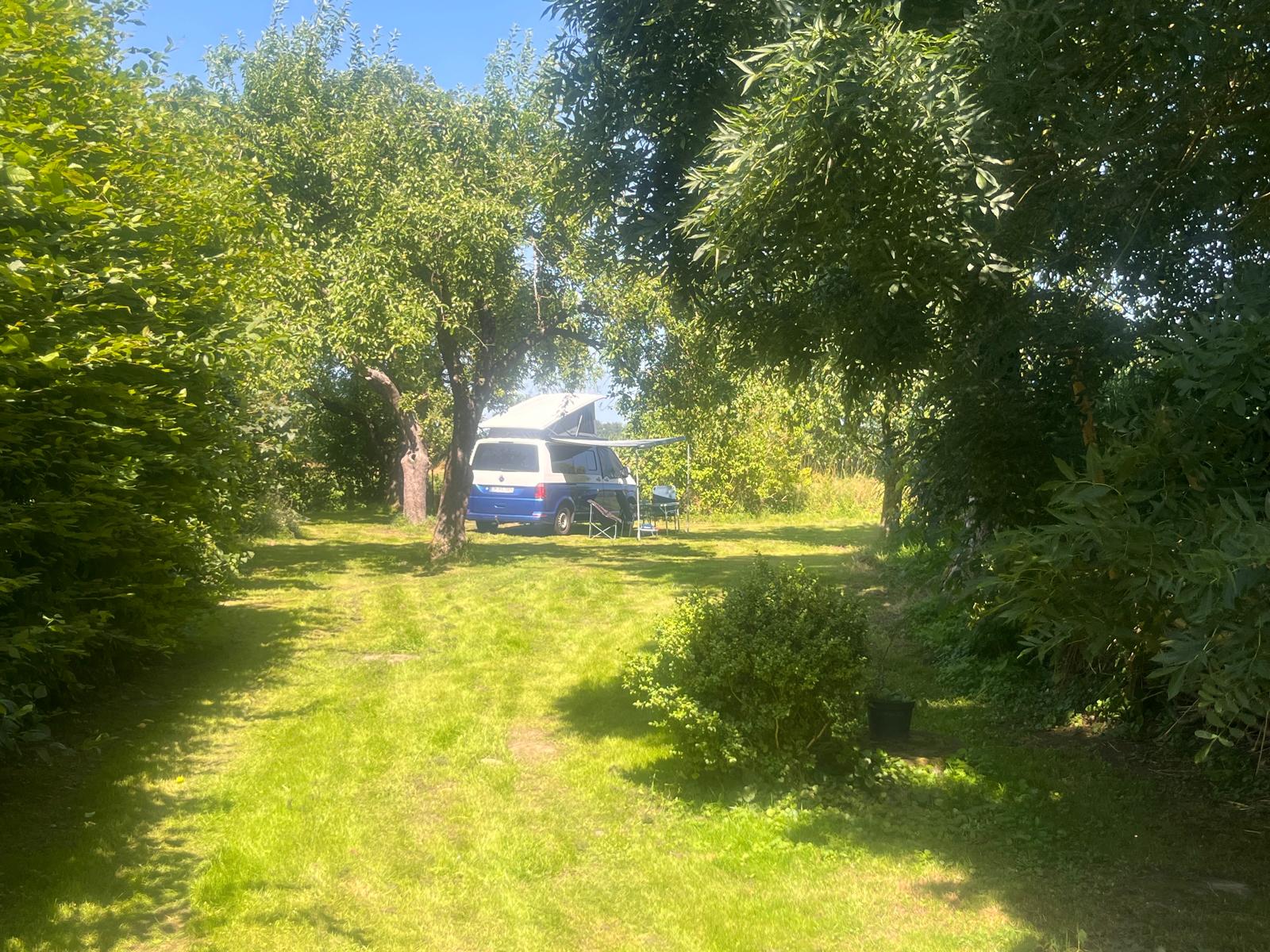 Stellplatz im Obstgarten mit Bus-Camper